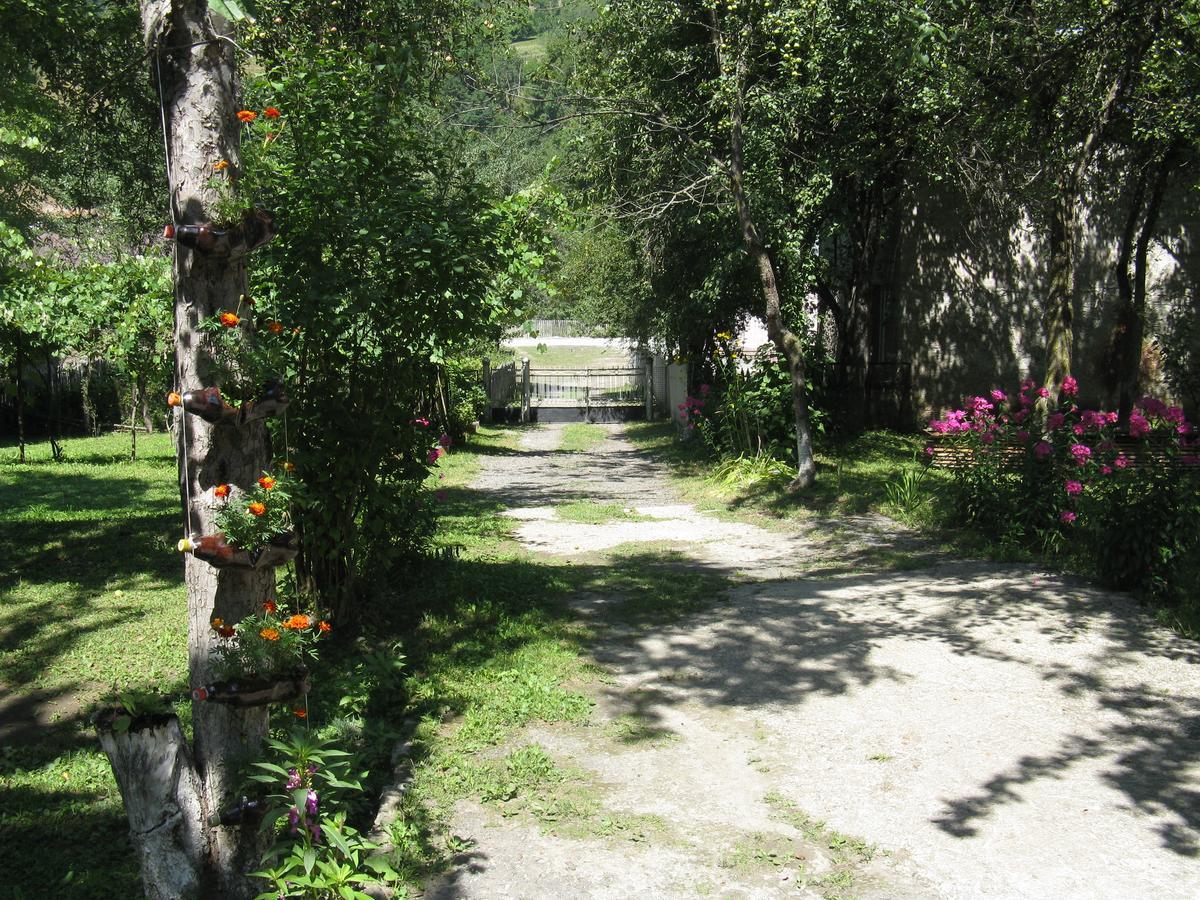Ushba Hotel Mestia Buitenkant foto